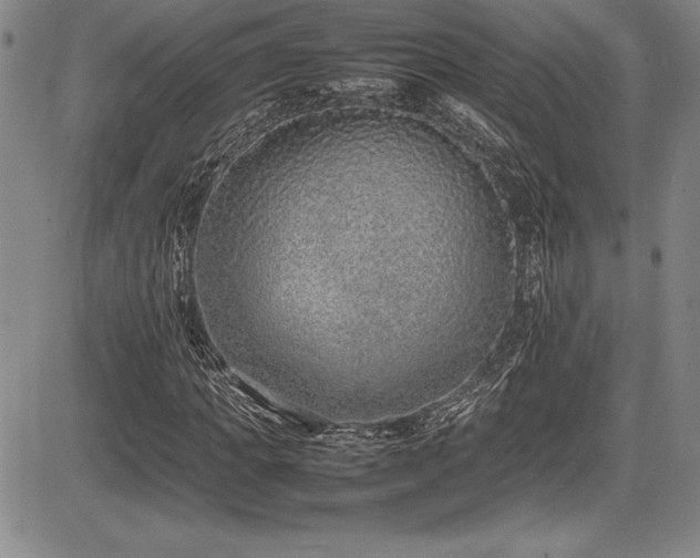 X0000086240917200703291351
