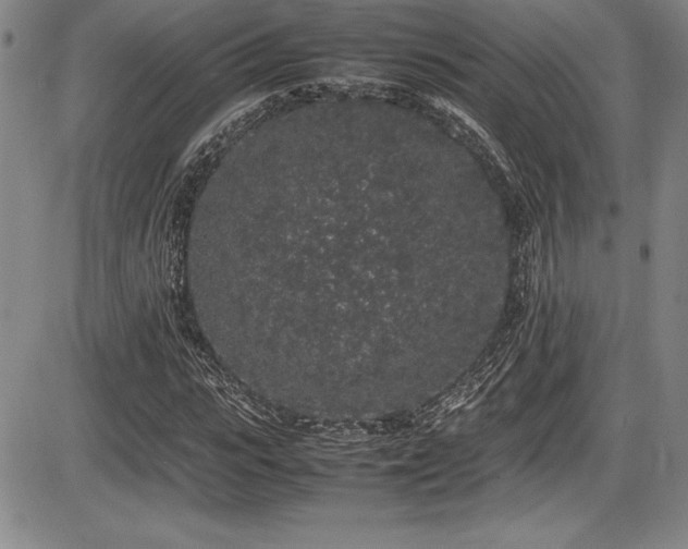 X0000086240919200703291351