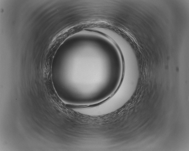 X0000086240920200703291351