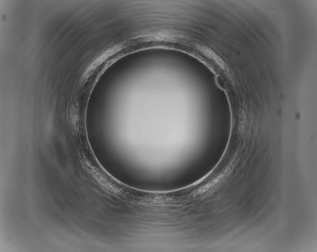 X0000086240922200703291351