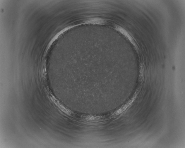 X0000086240923200703291351