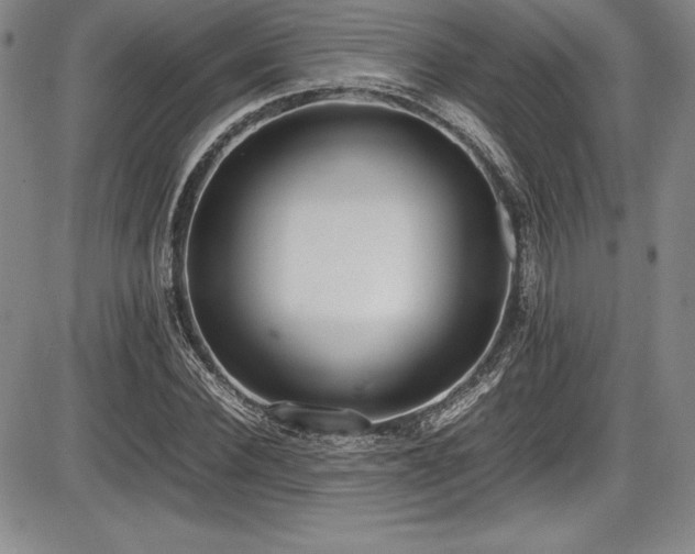 X0000086240924200703291351
