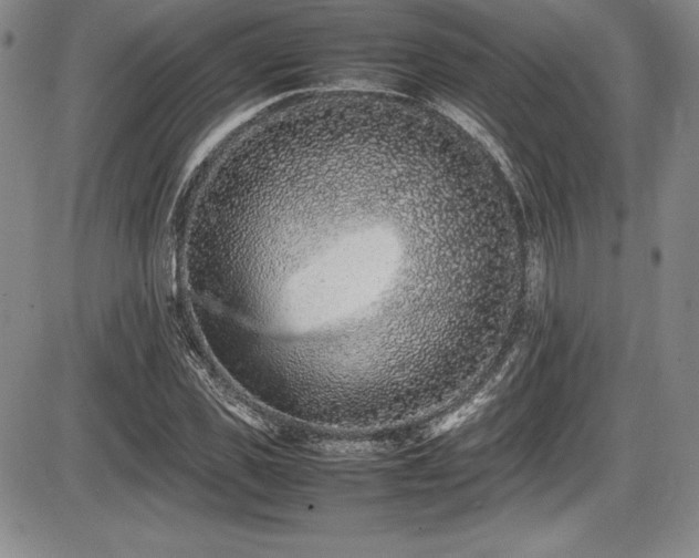 X0000086240925200703291351