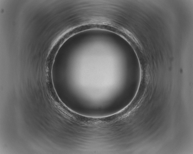 X0000086240926200703291351