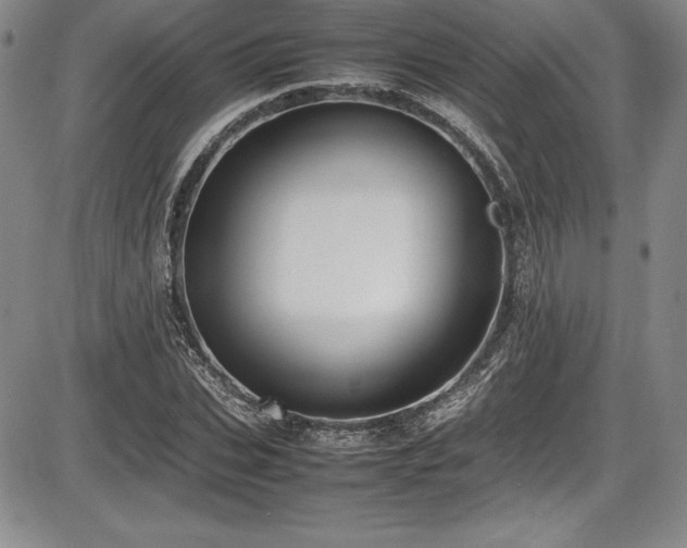 X0000086240927200703291351