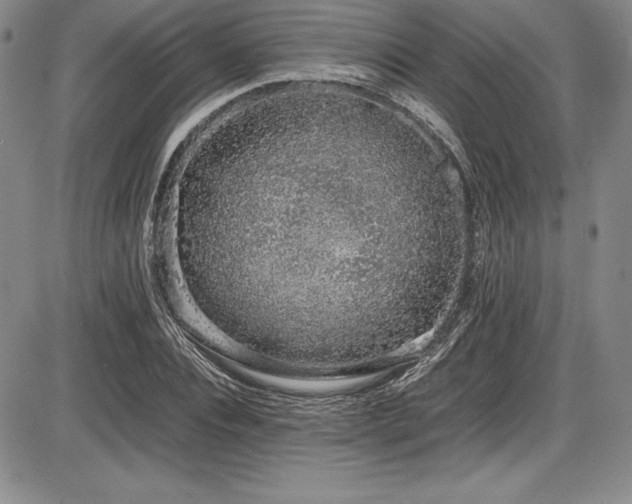 X0000086240928200703291351