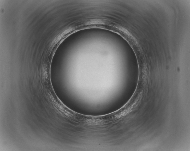 X0000086240929200703291351