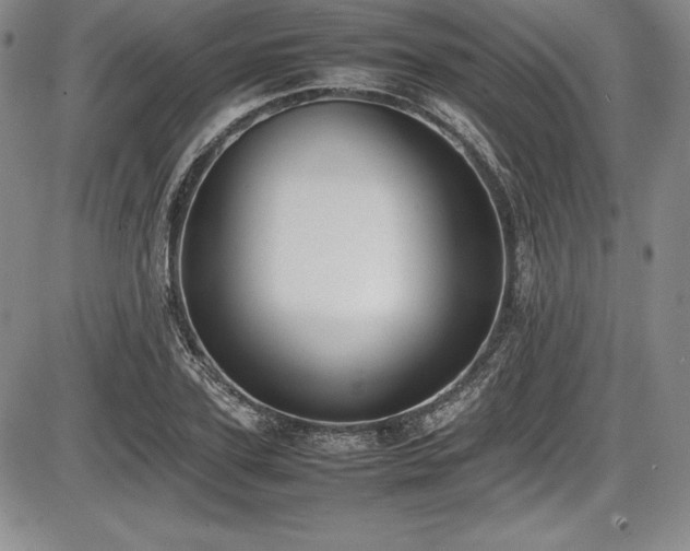 X0000086240931200703291351