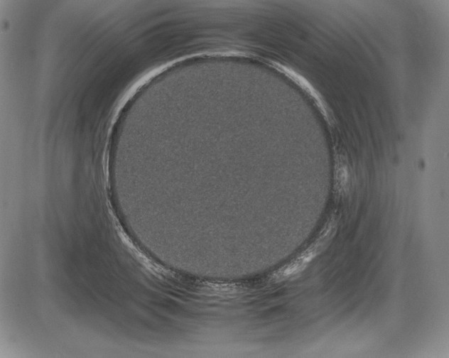 X0000086240935200703291351