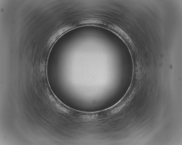 X0000086240937200703291351