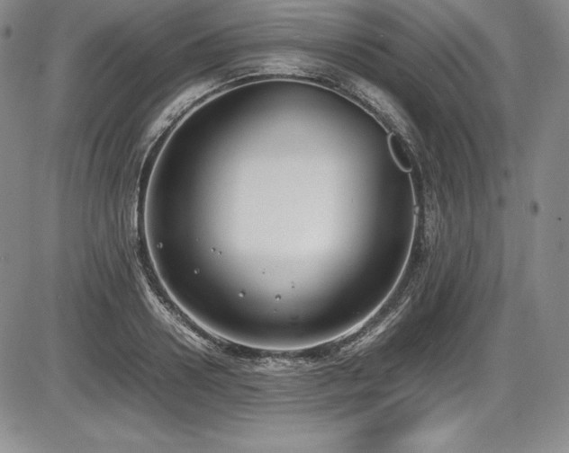 X0000086240938200703291351