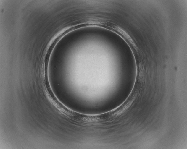 X0000086240939200703291351