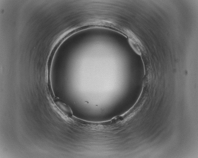 X0000086240940200703291351