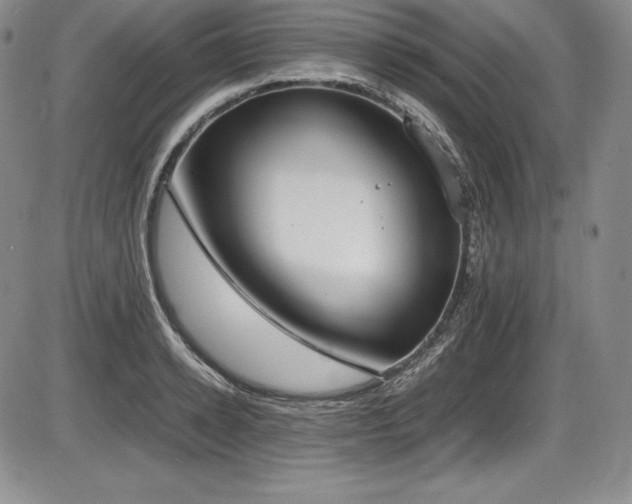 X0000086240942200703291351