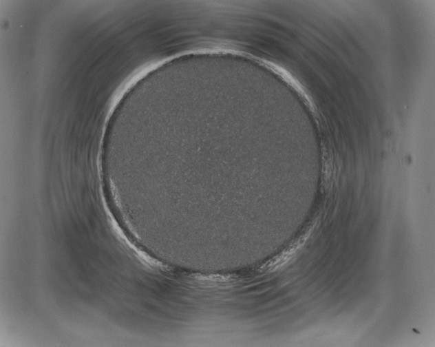 X0000086240943200703291351