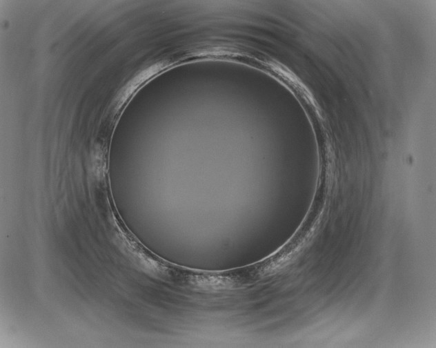 X0000086240945200703291352