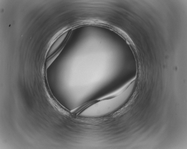 X0000086240946200703291352