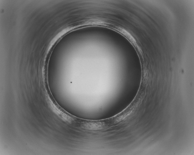 X0000086240947200703291352