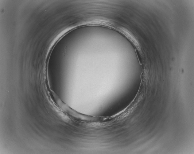 X0000086240948200703291352