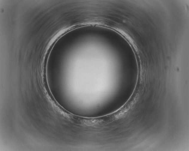 X0000086240949200703291352