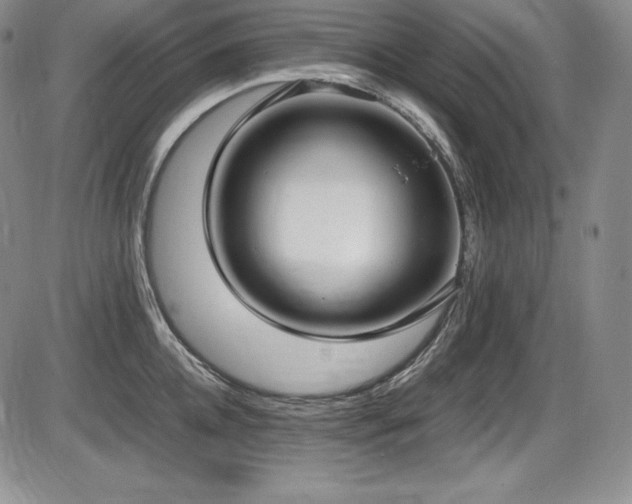 X0000086240952200703291352