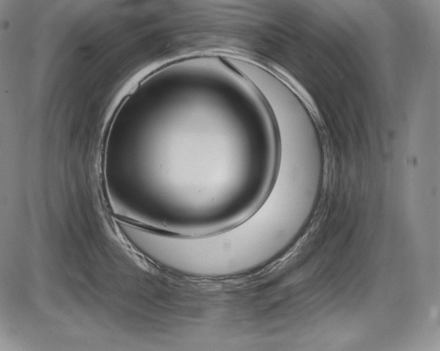 X0000086240956200703291352