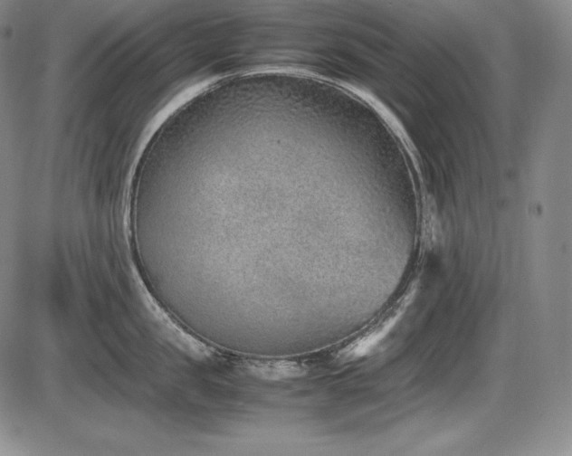 X0000086240957200703291352