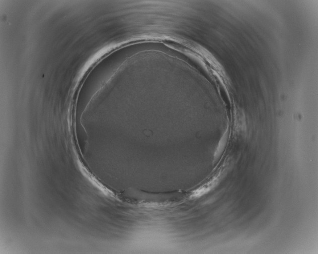X0000086240958200703291352