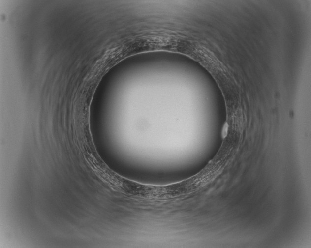X0000086240961200703291351