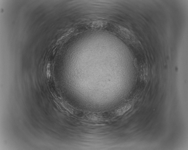 X0000086240962200703291351
