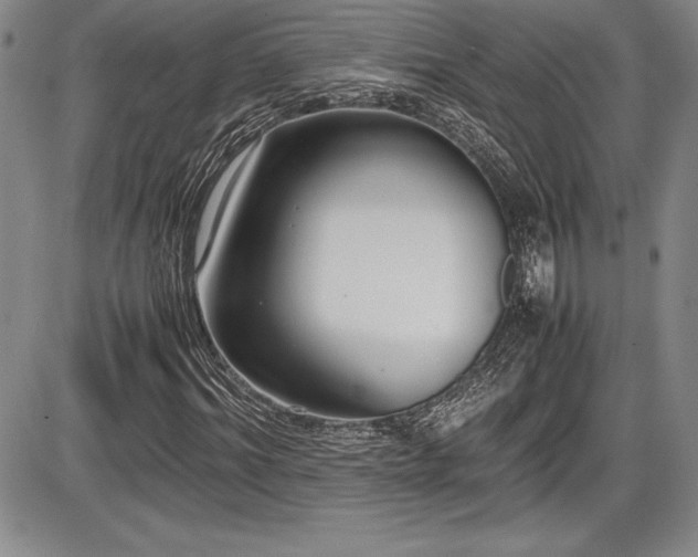 X0000086240964200703291351