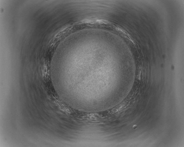 X0000086240966200703291351
