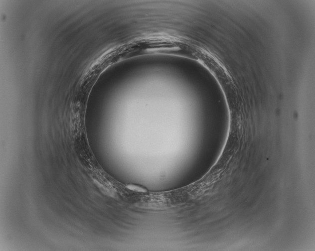 X0000086240968200703291351