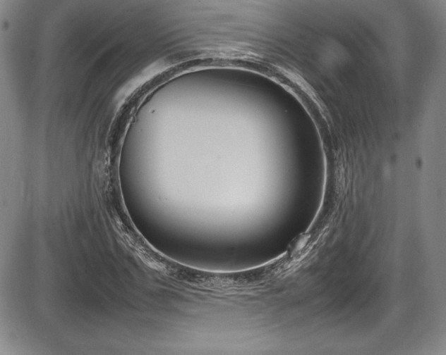 X0000086240971200703291351