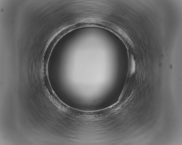 X0000086240976200703291351