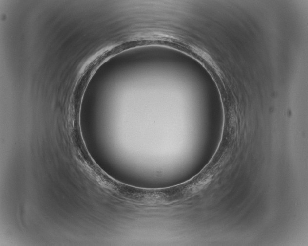 X0000086240979200703291351