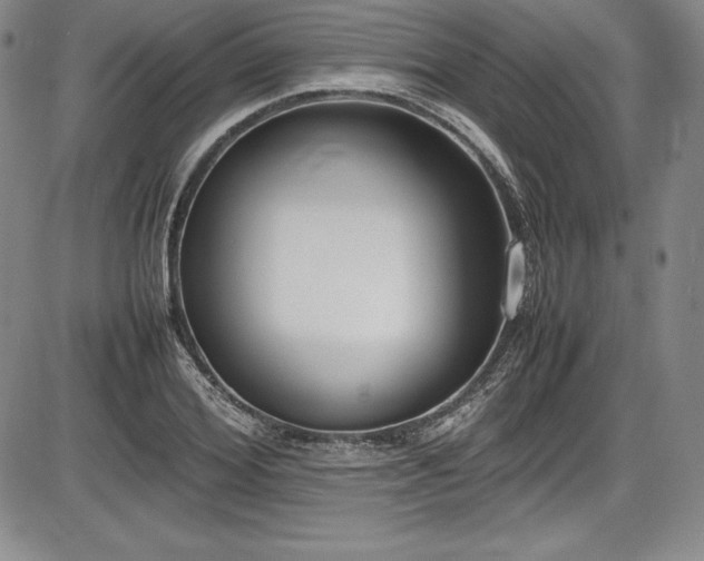 X0000086240980200703291351