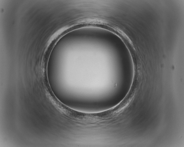 X0000086240981200703291351