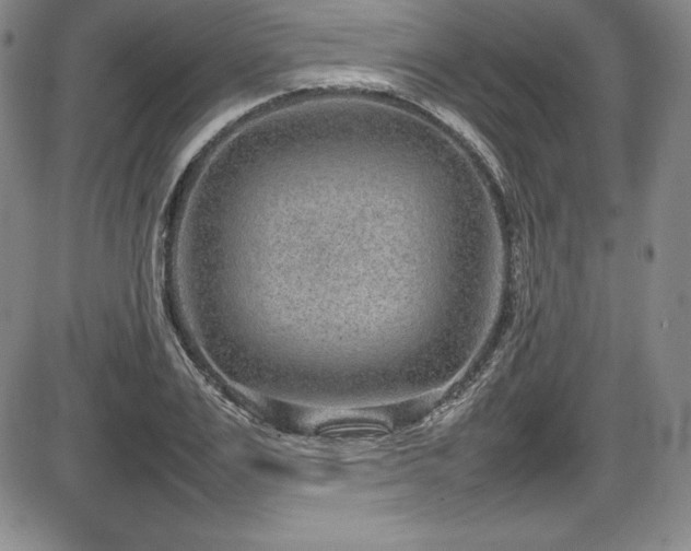 X0000086240983200703291351