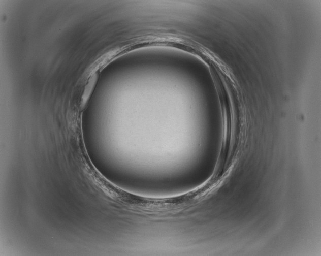 X0000086240985200703291351