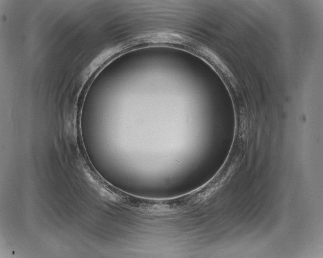 X0000086240986200703291351