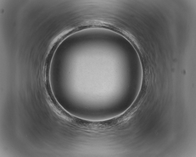 X0000086240987200703291351