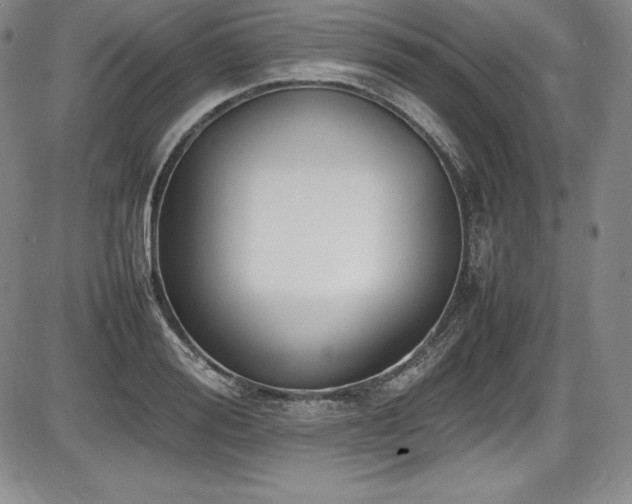 X0000086240988200703291351