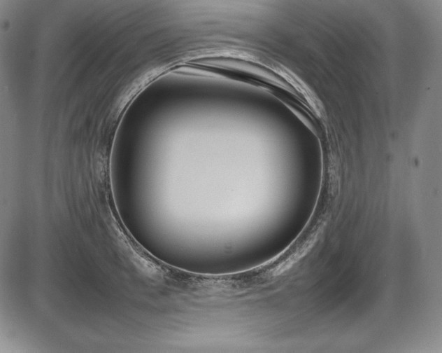 X0000086240993200703291350