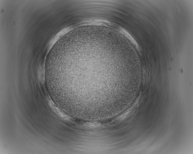 X0000086240994200703291350