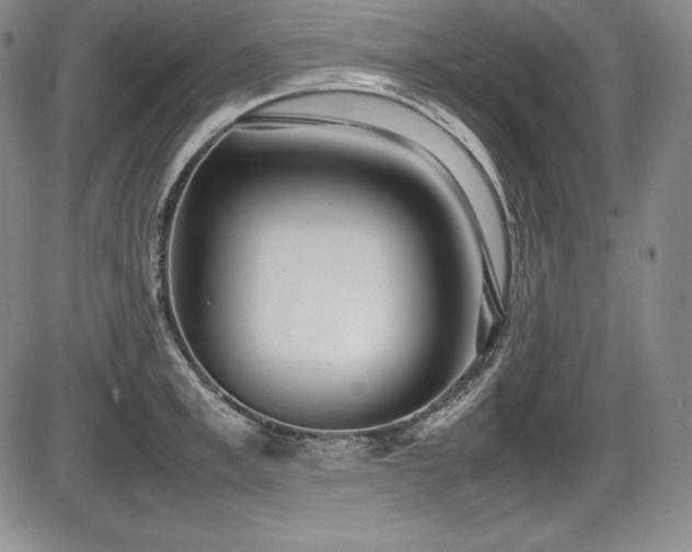 X0000086240997200703291350