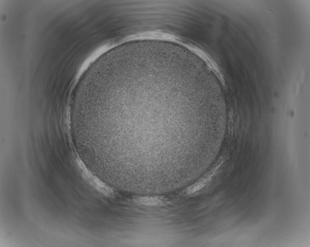 X0000086240998200703291350