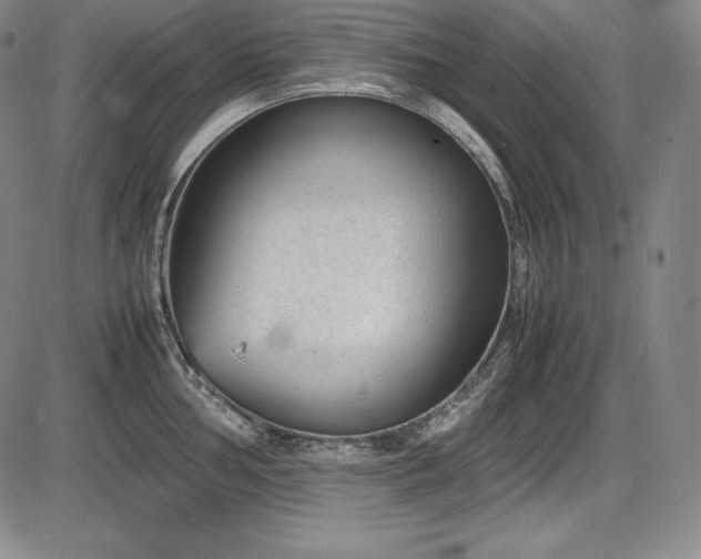 X0000086241002200703291350