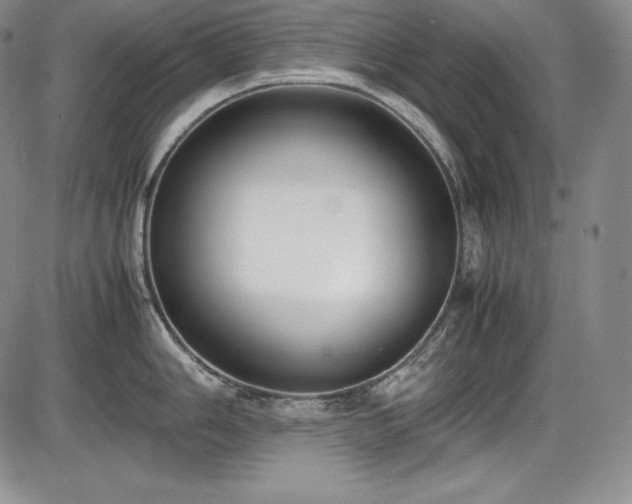 X0000086241006200703291350