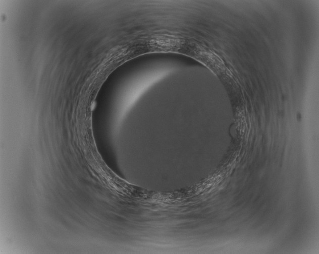 X0000086241009200703291349